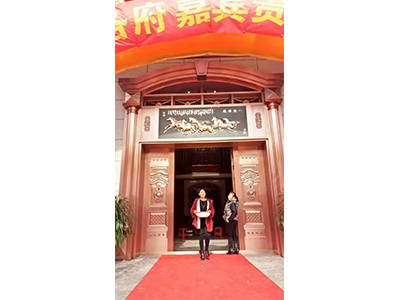 尊贵纯铜门